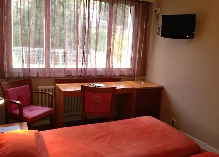 Le Jura 3* 디본느레방